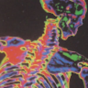 Meet your Posher, Sonny